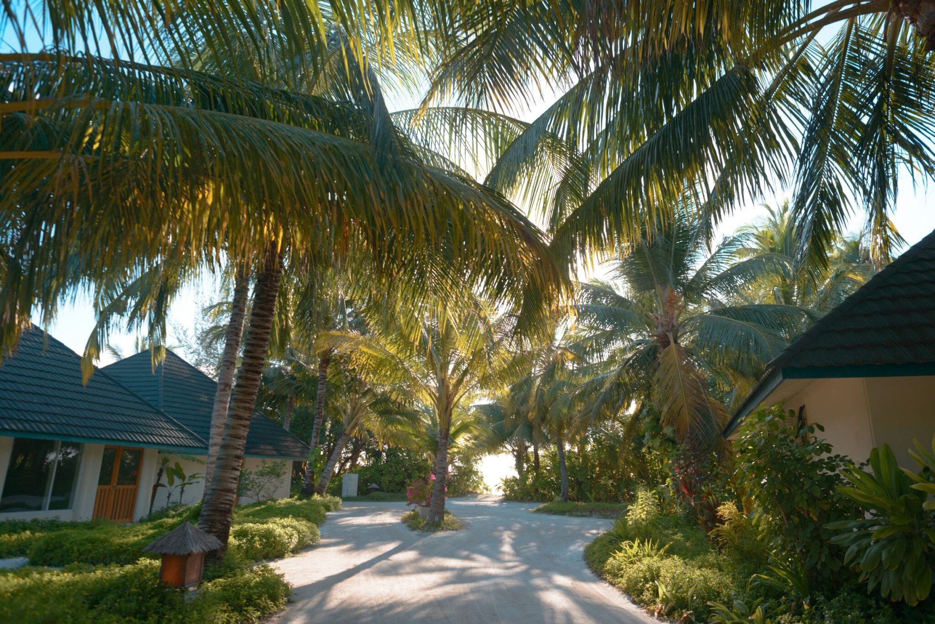 Scenic view of luxurious resort villas amidst palm trees and sunlight in Maldives.