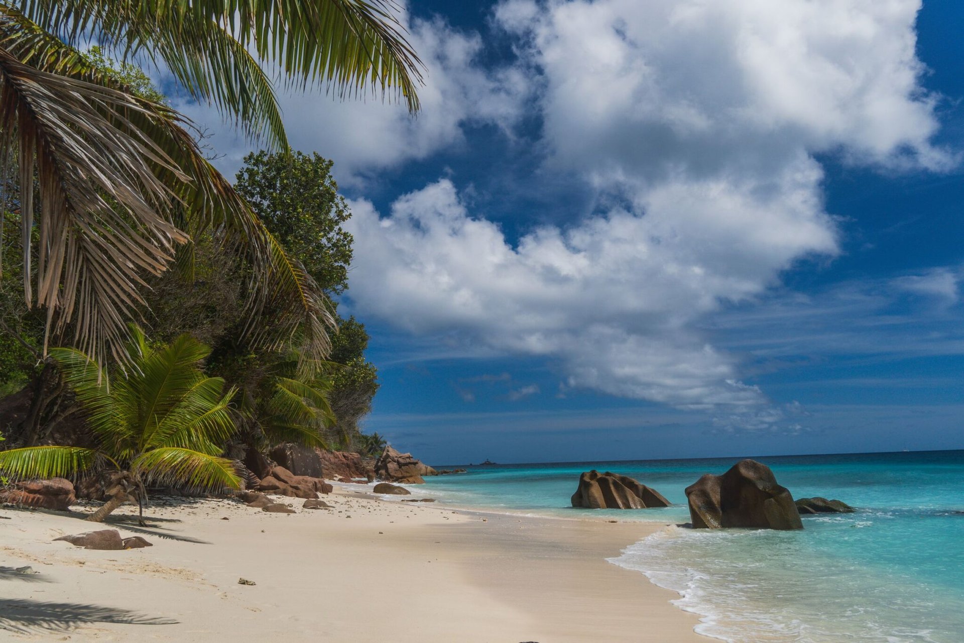 Tropical paradise beach with palm trees and granite rocks in Seychelles under a blue sky.