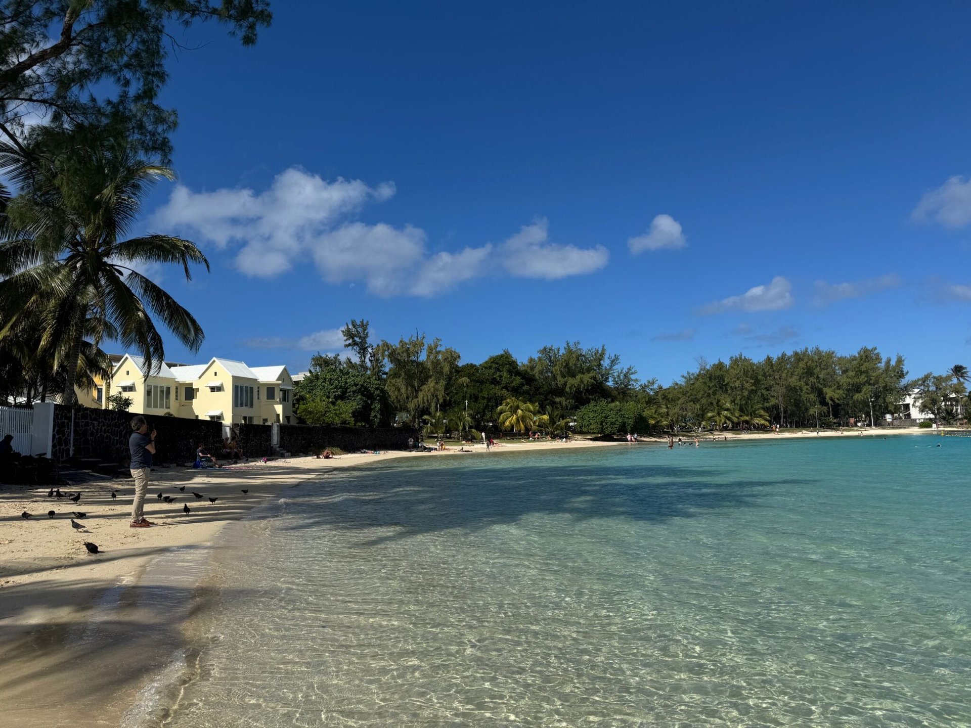 Explore the serene beauty of Blue Bay Beach with clear waters and lush greenery in Mauritius.