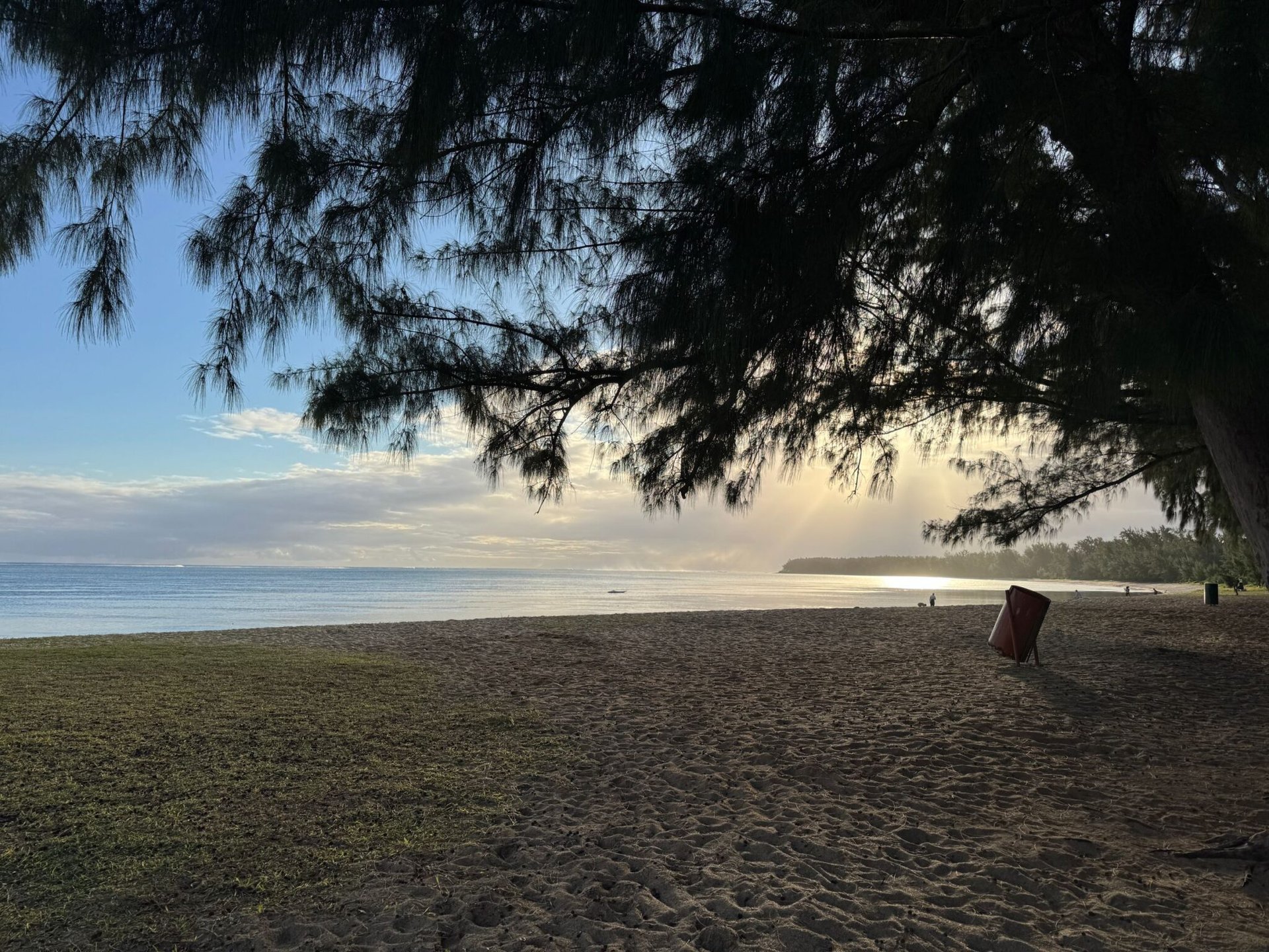 Serene sunset beach view with trees in Moka District, Mauritius, offering a peaceful retreat.