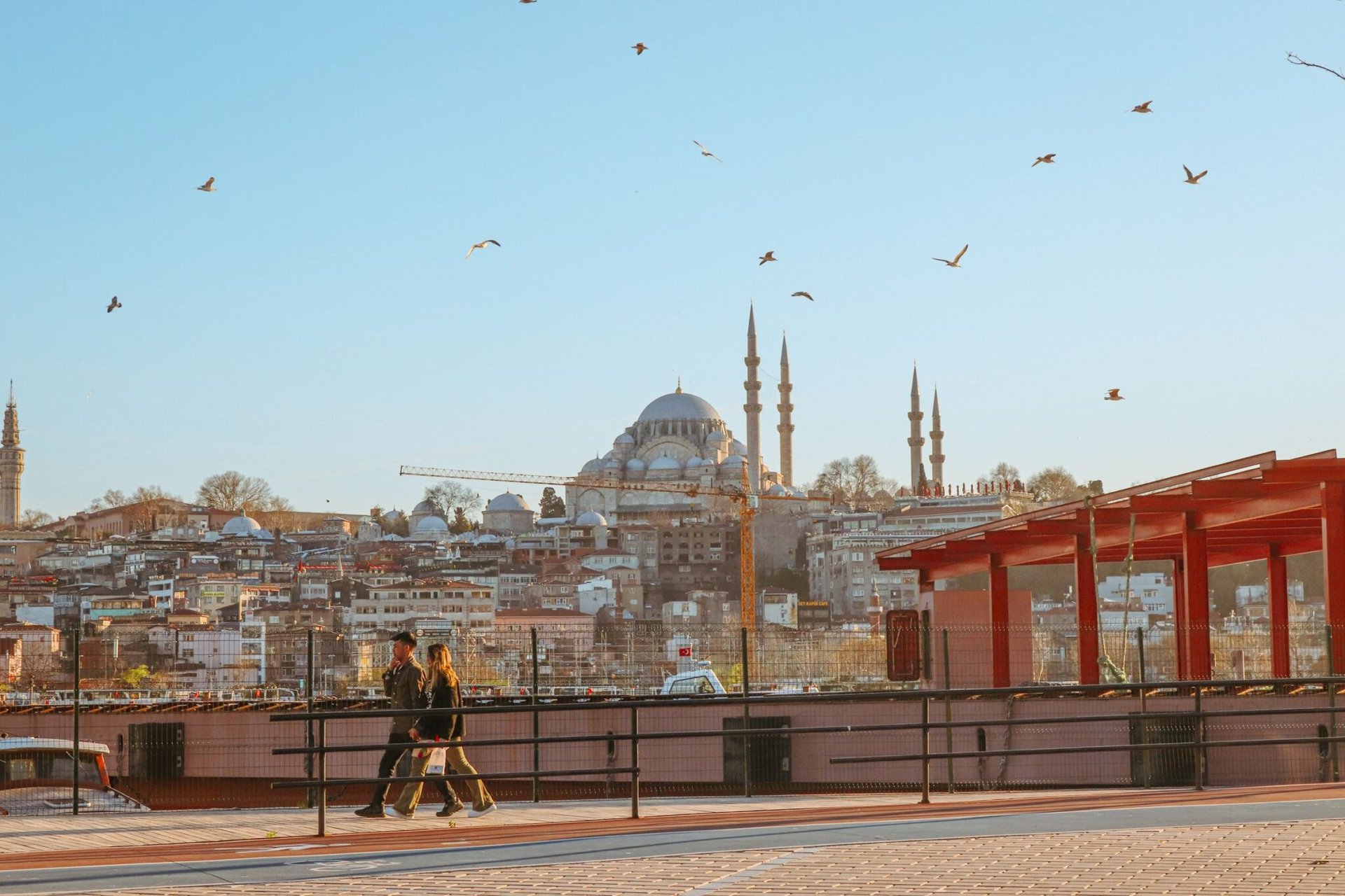 Peaceful daytime view of Istanbul skyline featuring the iconic Suleymaniye Mosque with birds flying in the sky.