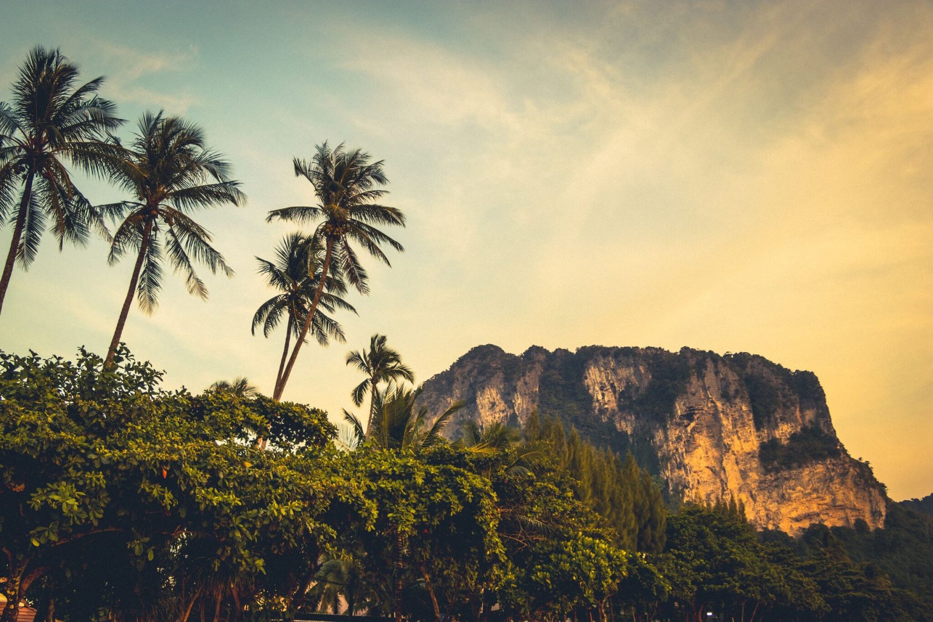 Scenic view of towering limestone cliffs and palm trees in Krabi, Thailand at sunset.