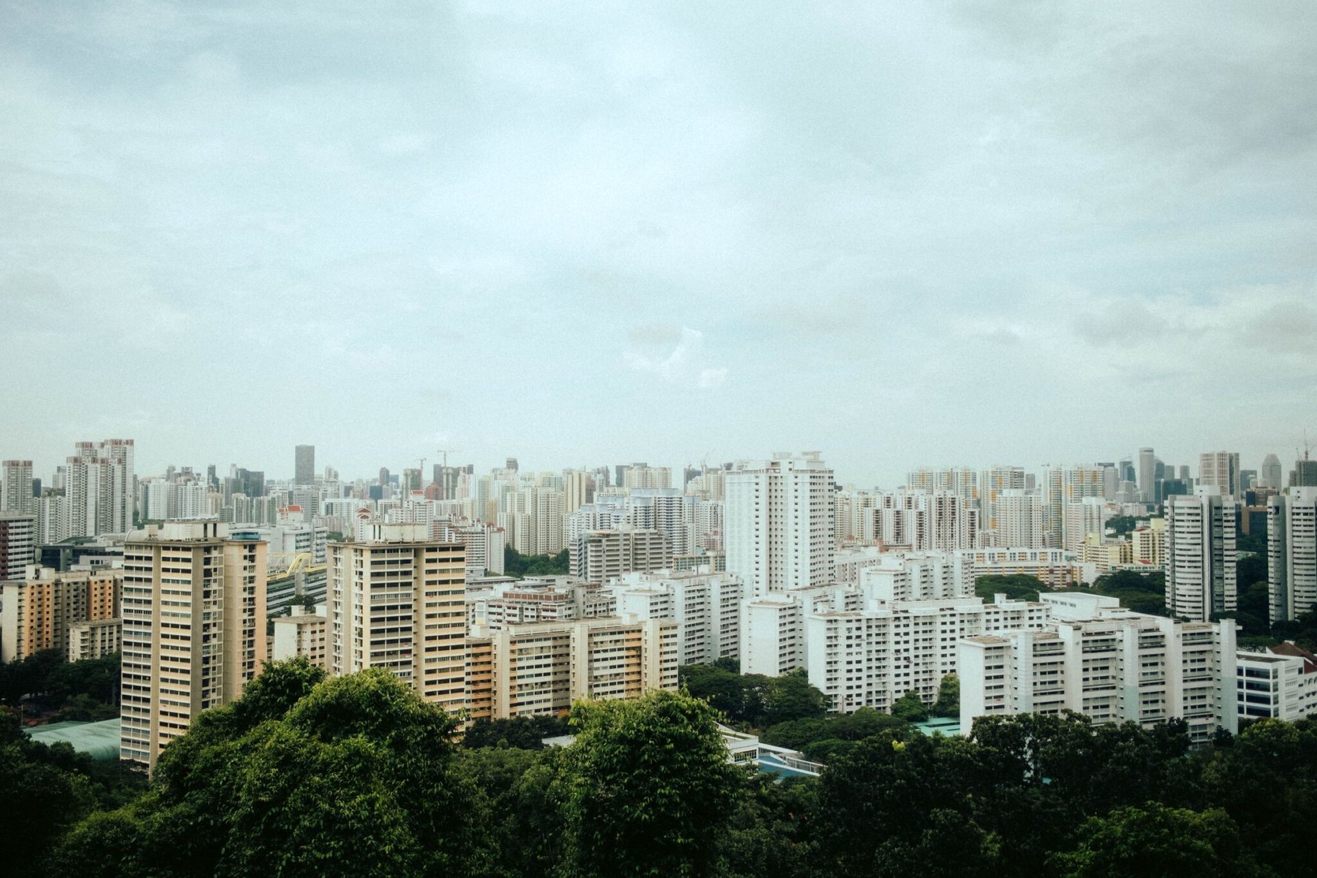 Aerial view of Singapore's urban skyline with modern architecture amidst greenery.