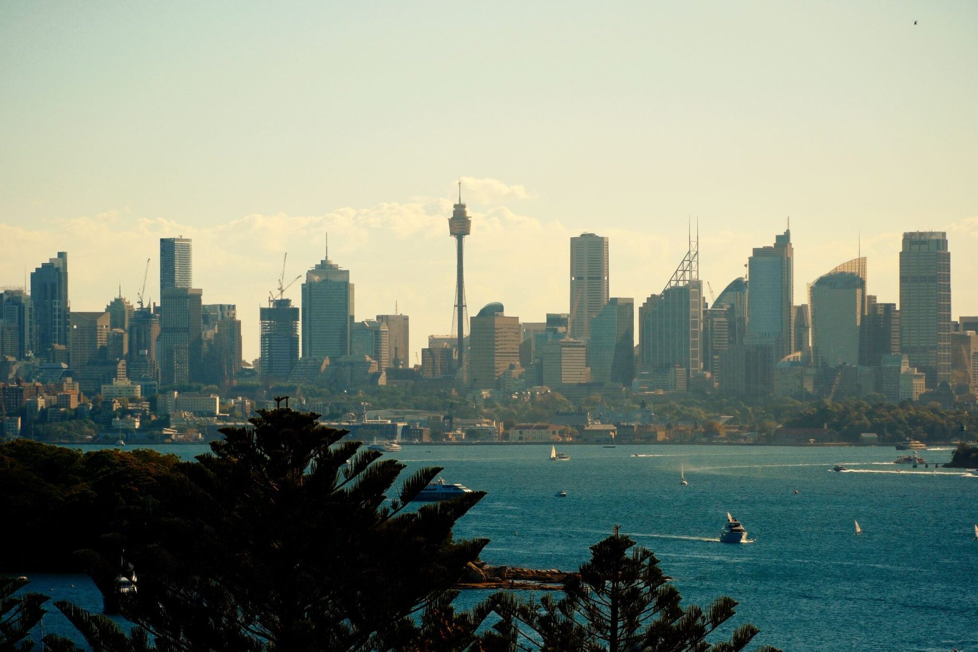 Stunning daytime view of Sydney skyline and harbor from Watsons Bay, NSW, Australia.