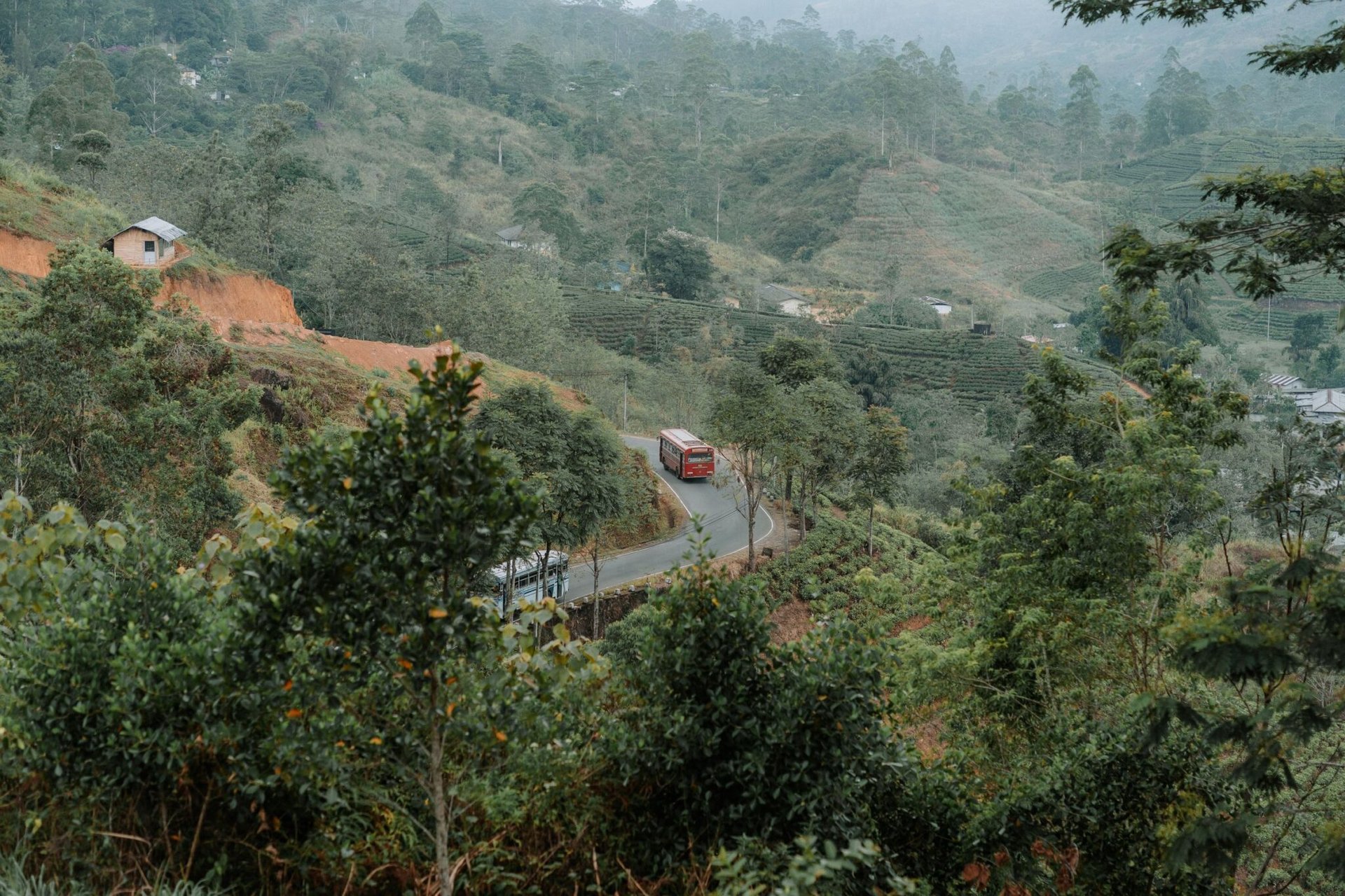Aerial view of a red bus winding through the lush green hills of Hatton, Sri Lanka.
