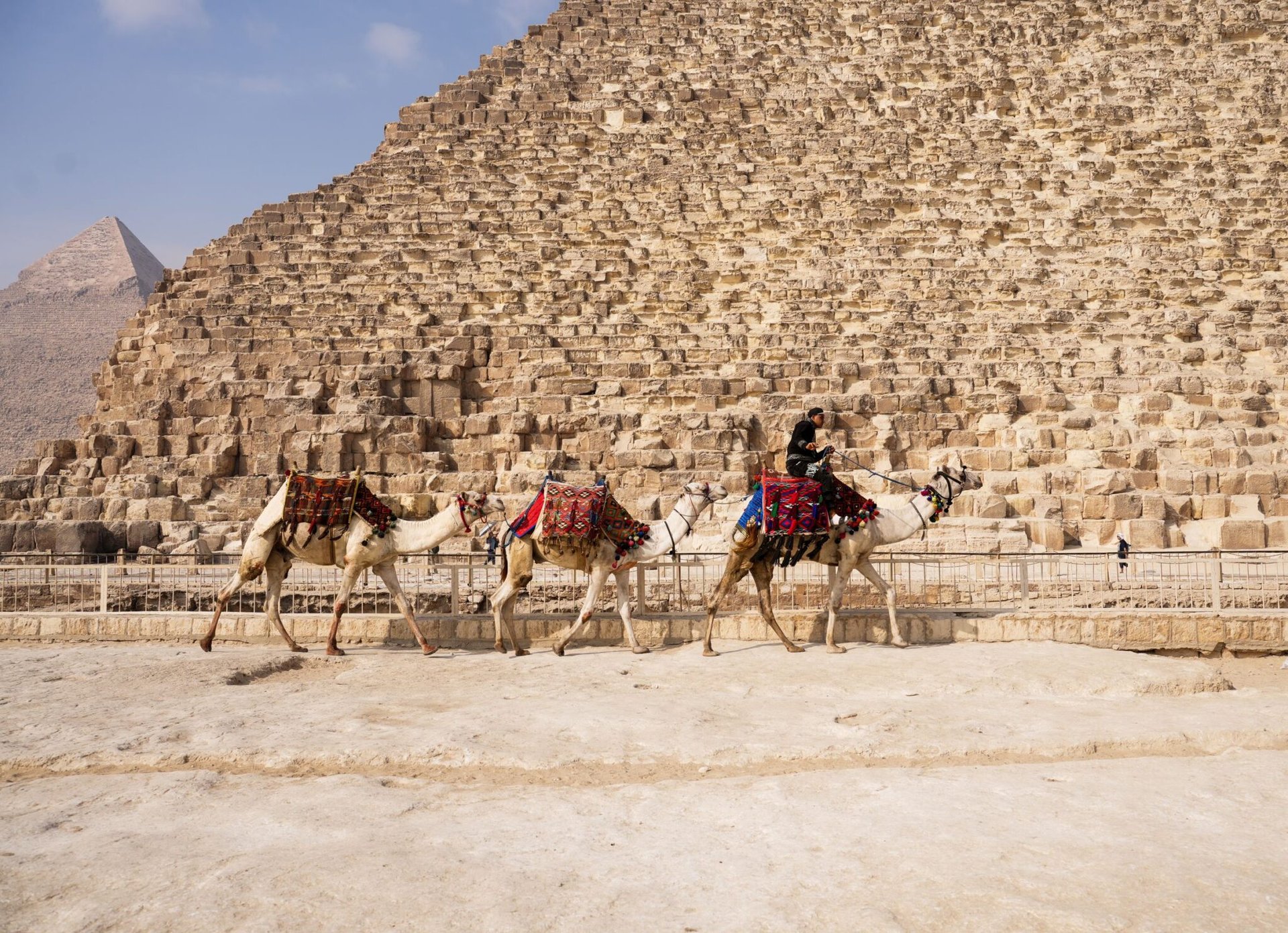 Camels with riders passing by the pyramids in Giza, Egypt, under a clear sky.