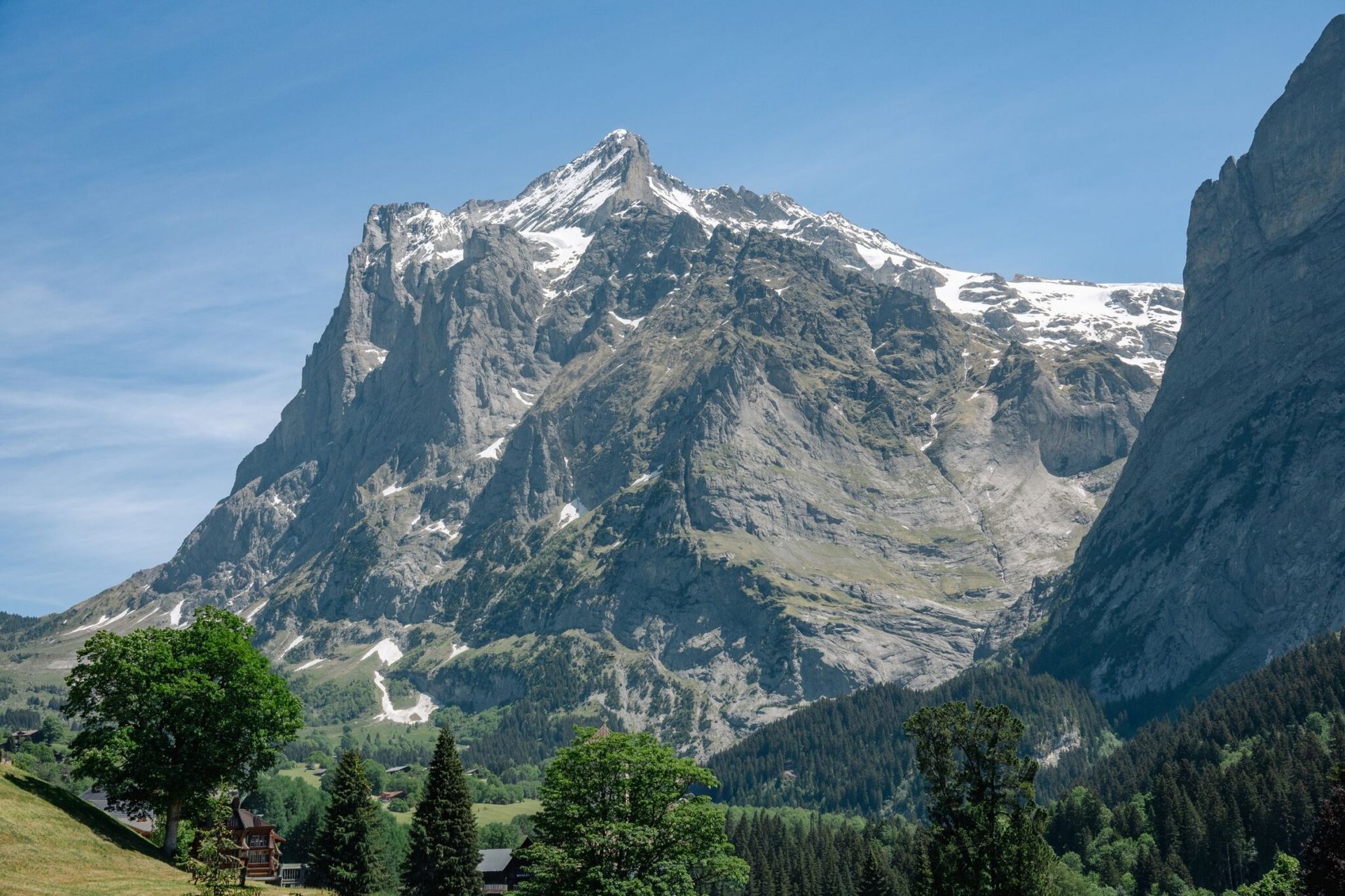 Majestic view of snow-capped Swiss Alps with lush greenery in the foreground.
