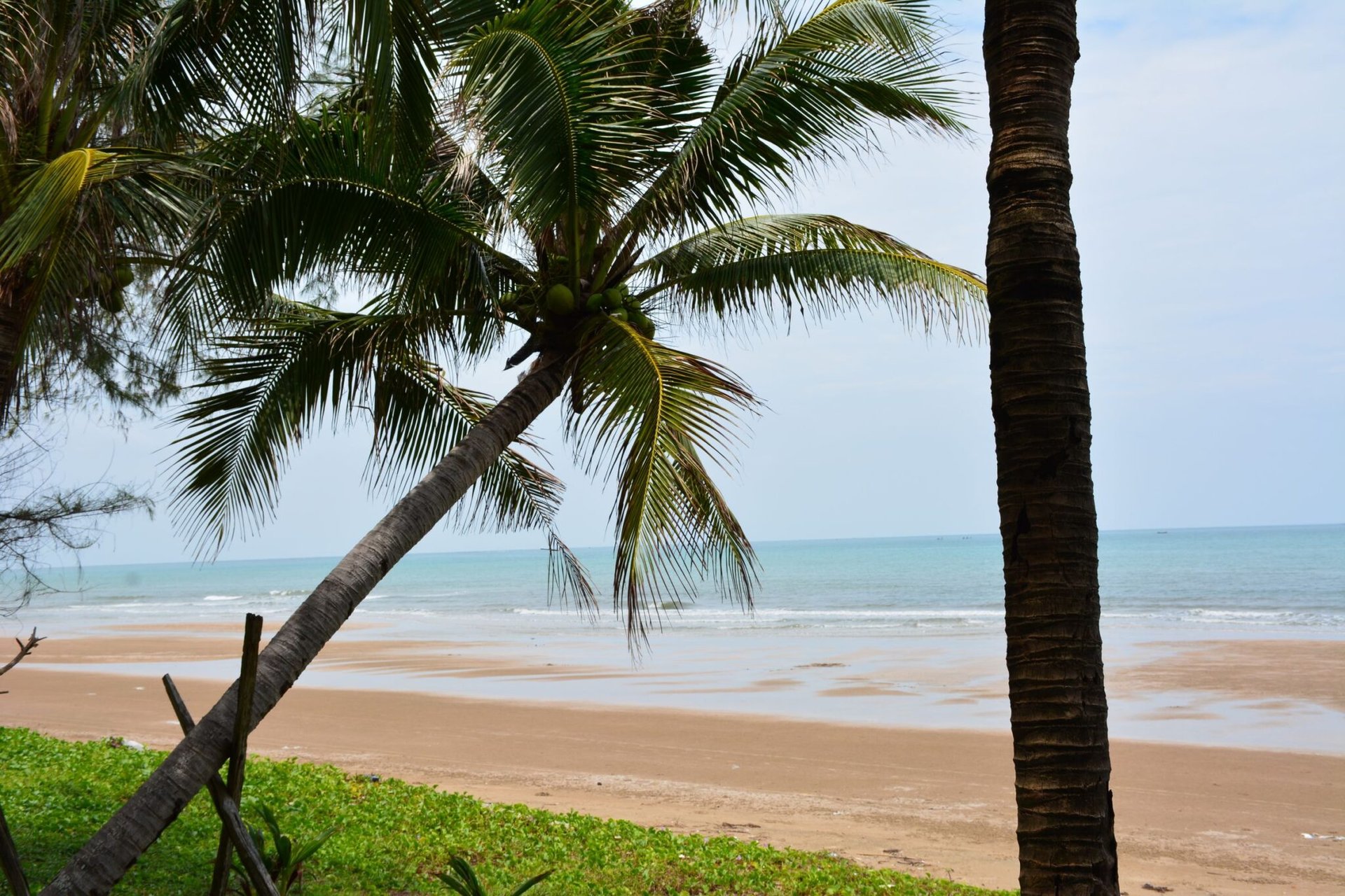 Relaxing view of a tropical beach with palm trees in Chanthaburi, Thailand.