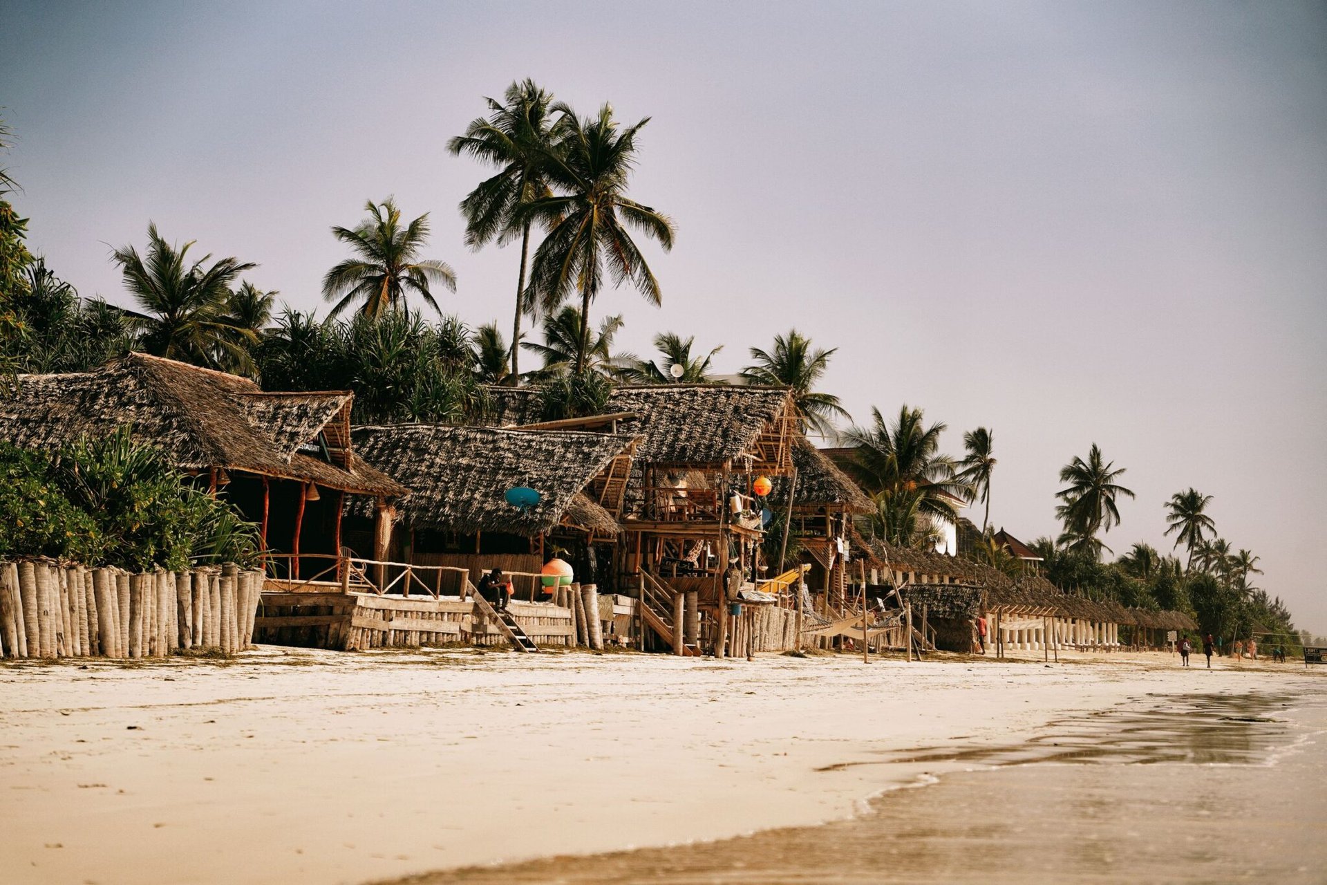 Rustic beachfront huts under palm trees along Zanzibar's coast, offering tropical serenity.